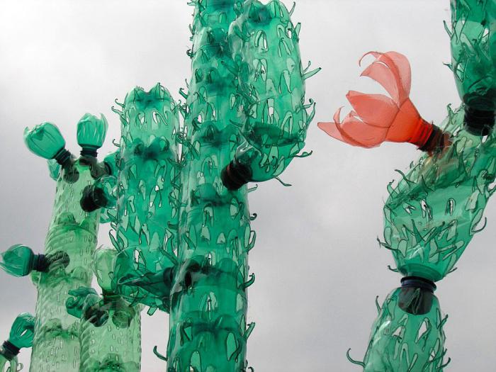 Поделки своими руками поделки из бутылок. Цветущие кактусы из пластиковых бутылок Сайт поделок
