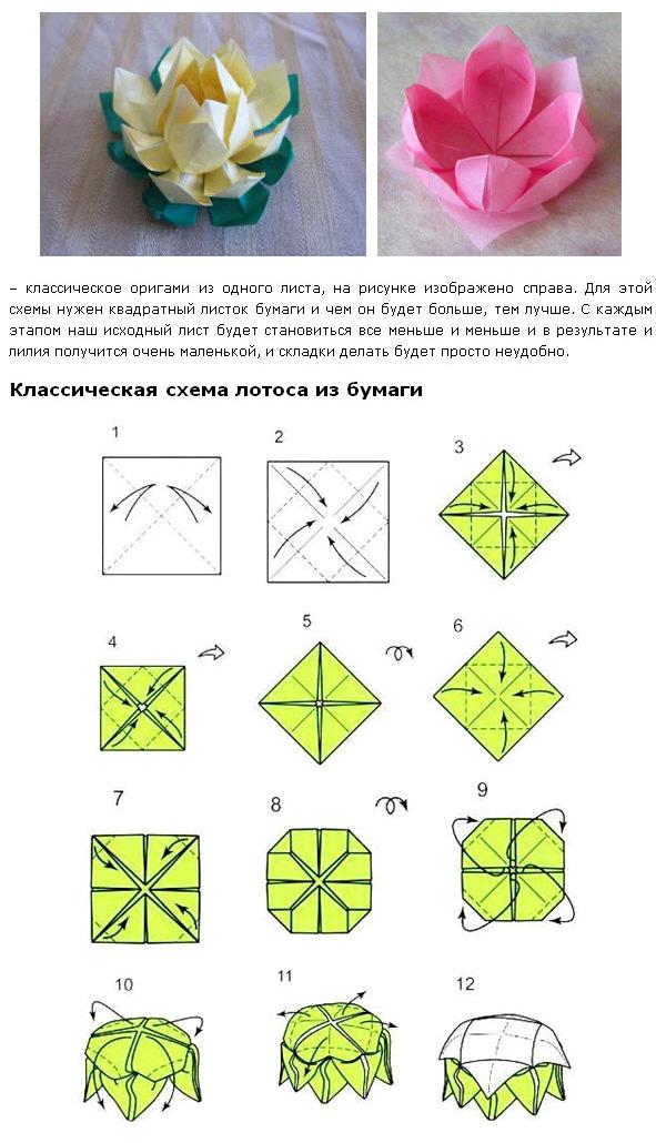 Лотос оригами из модулей