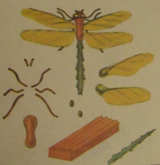 Поделка насекомые из природного материала (56 фото)